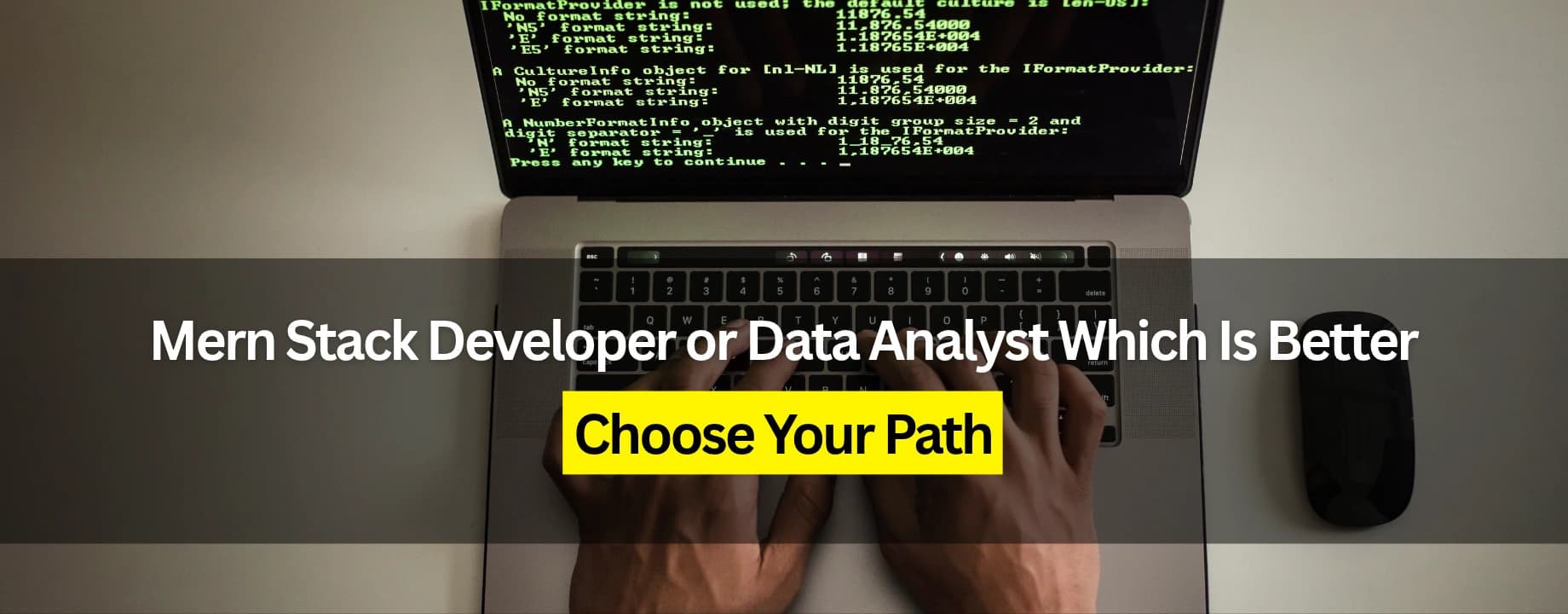 Mern Stack Developer or Data Analyst Which Is Better: Choose Your Path